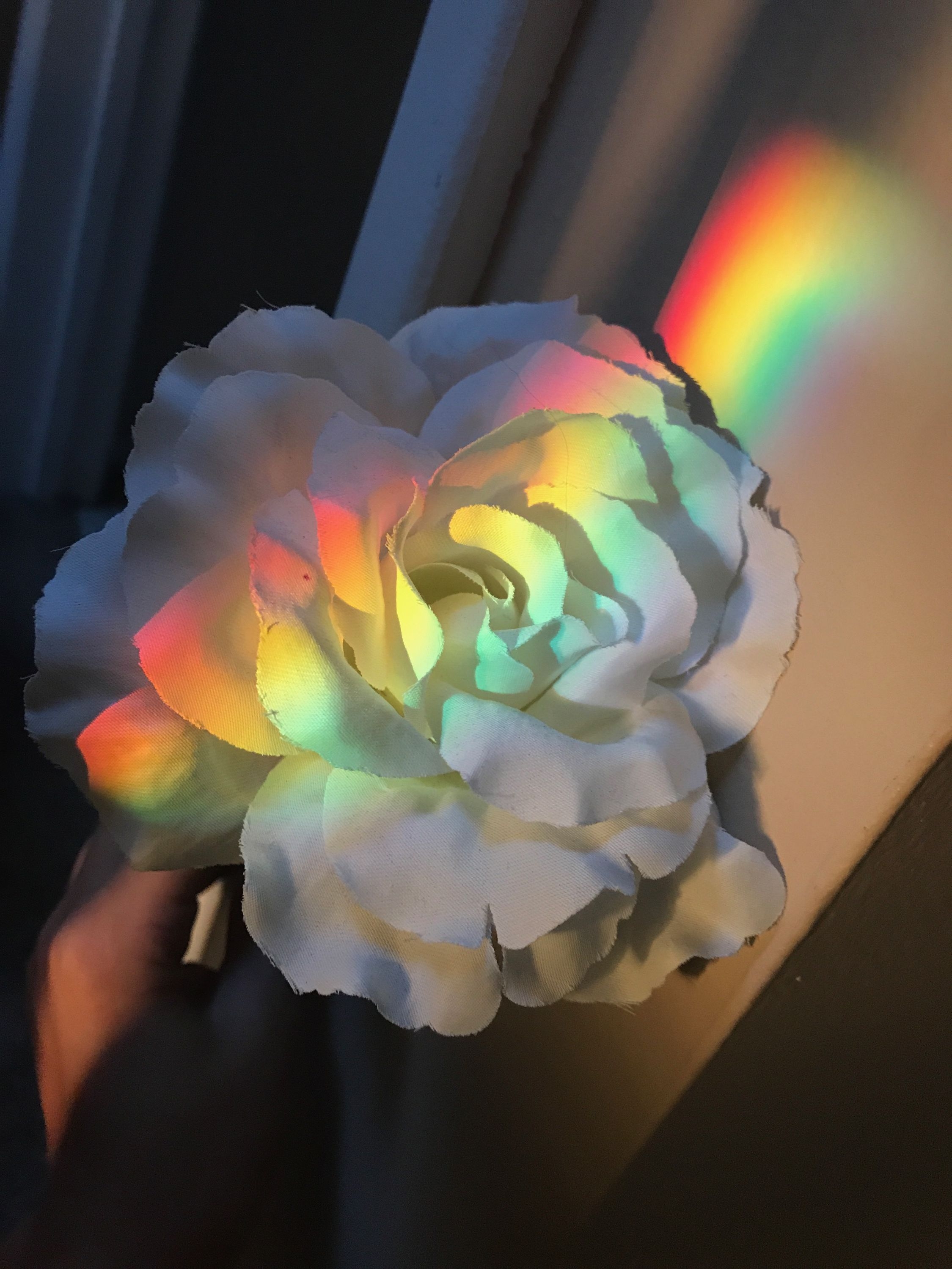 2250x3000 Aesthetic Rainbow Flower Wallpaper, Phone