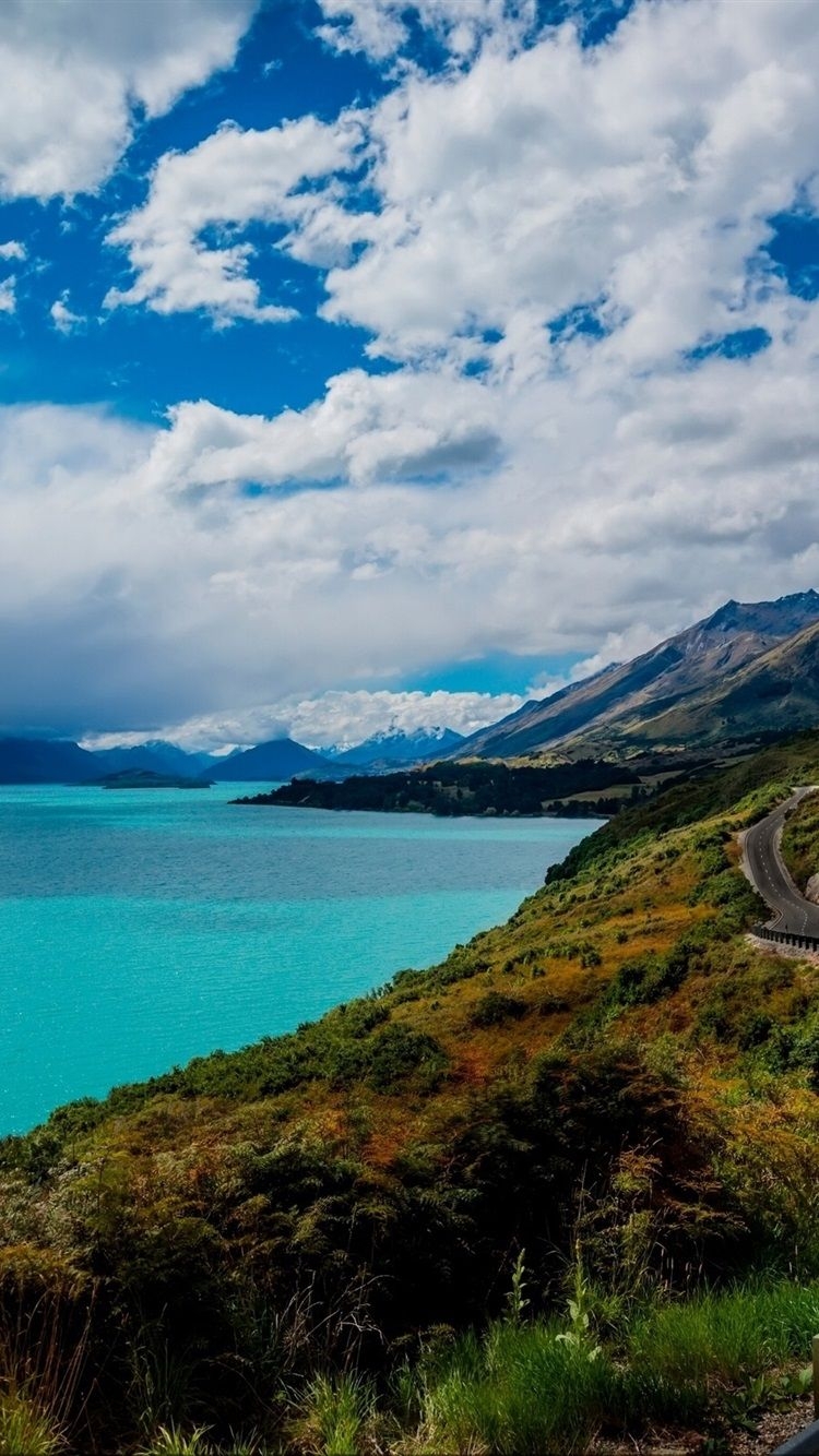 750x1340 Queenstown, New Zealand, Lake Wakatipu, road, mountains, Phone