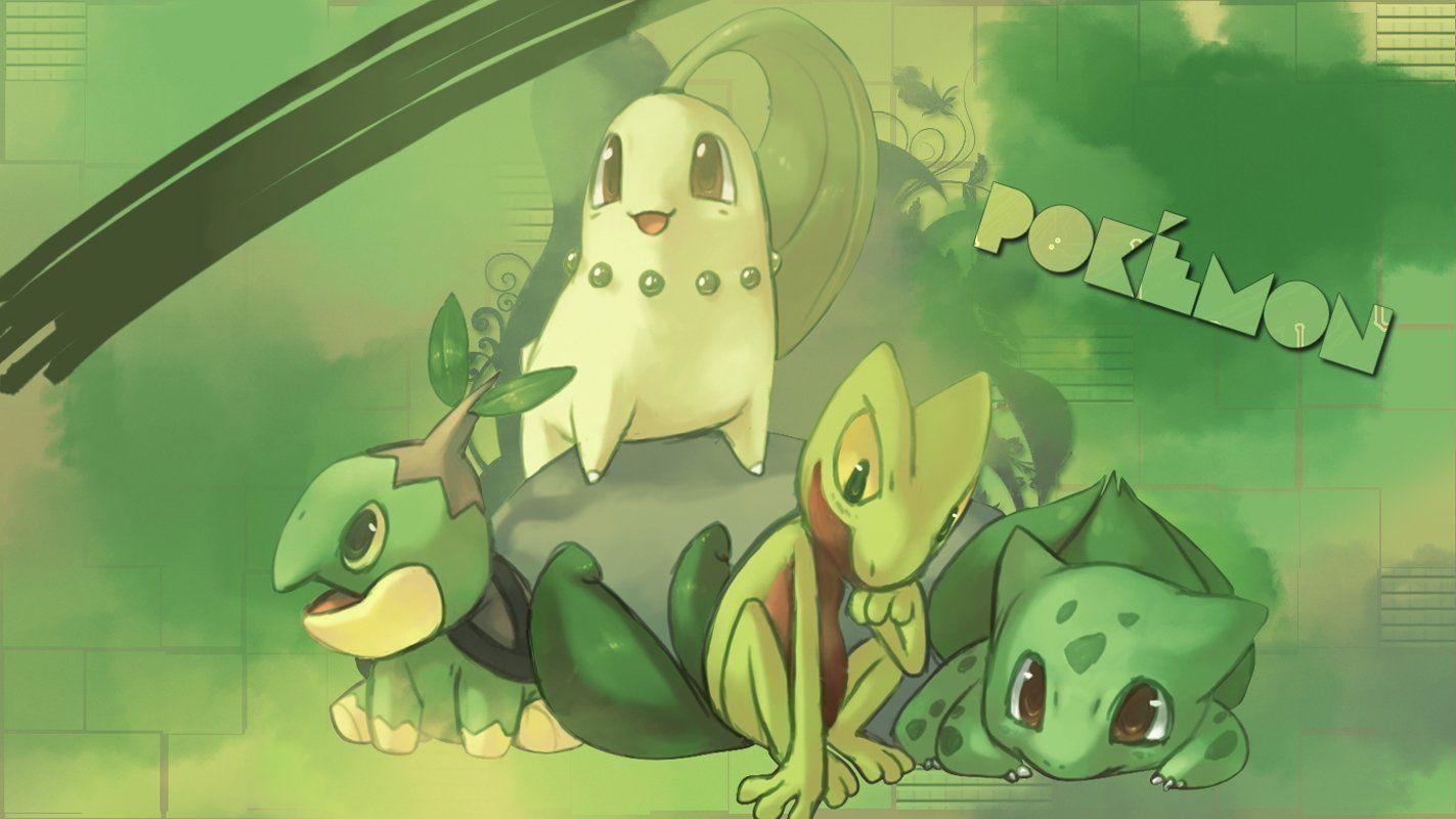 1430x800 Turtwig (Pokémon) HD Wallpaper and Background Image, Desktop