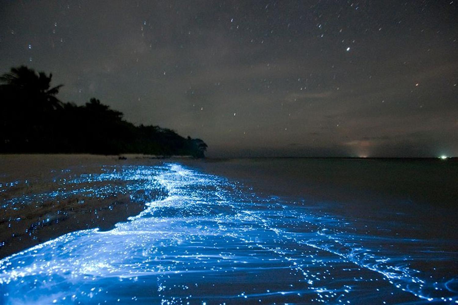 1500x1000 Maldives' Vaadhoo Island and its Sea of Stars make the perfect, Desktop