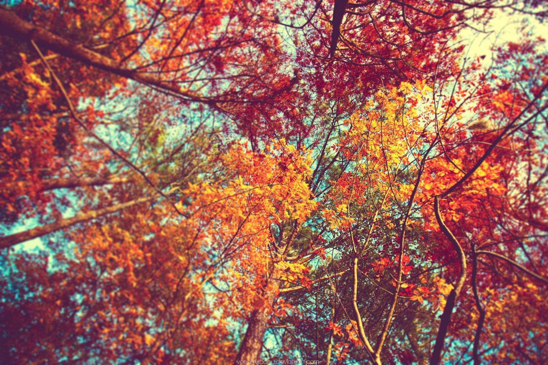 1920x1280 Autumn Aesthetic Laptop Wallpaper Free Autumn Aesthetic, Desktop