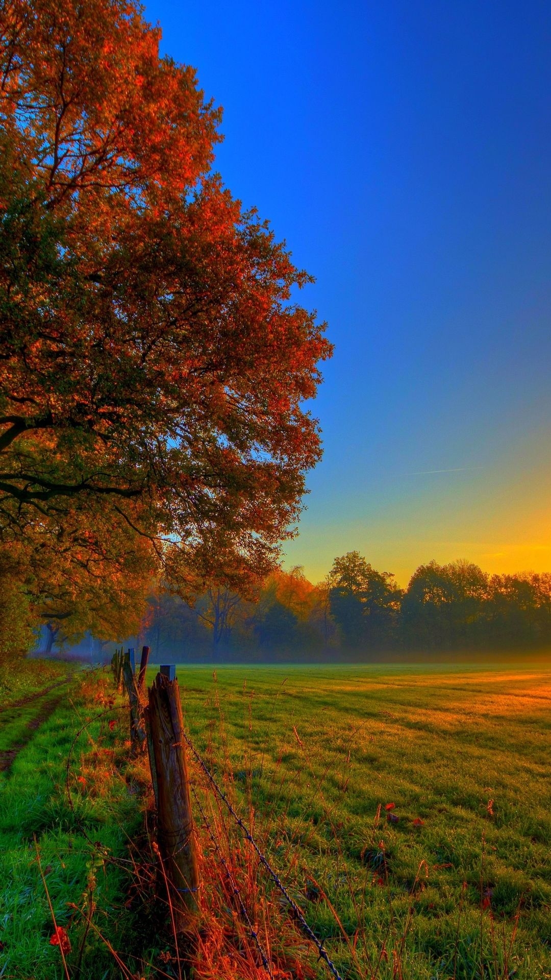 1080x1920 4K Fall Wallpaper, Phone
