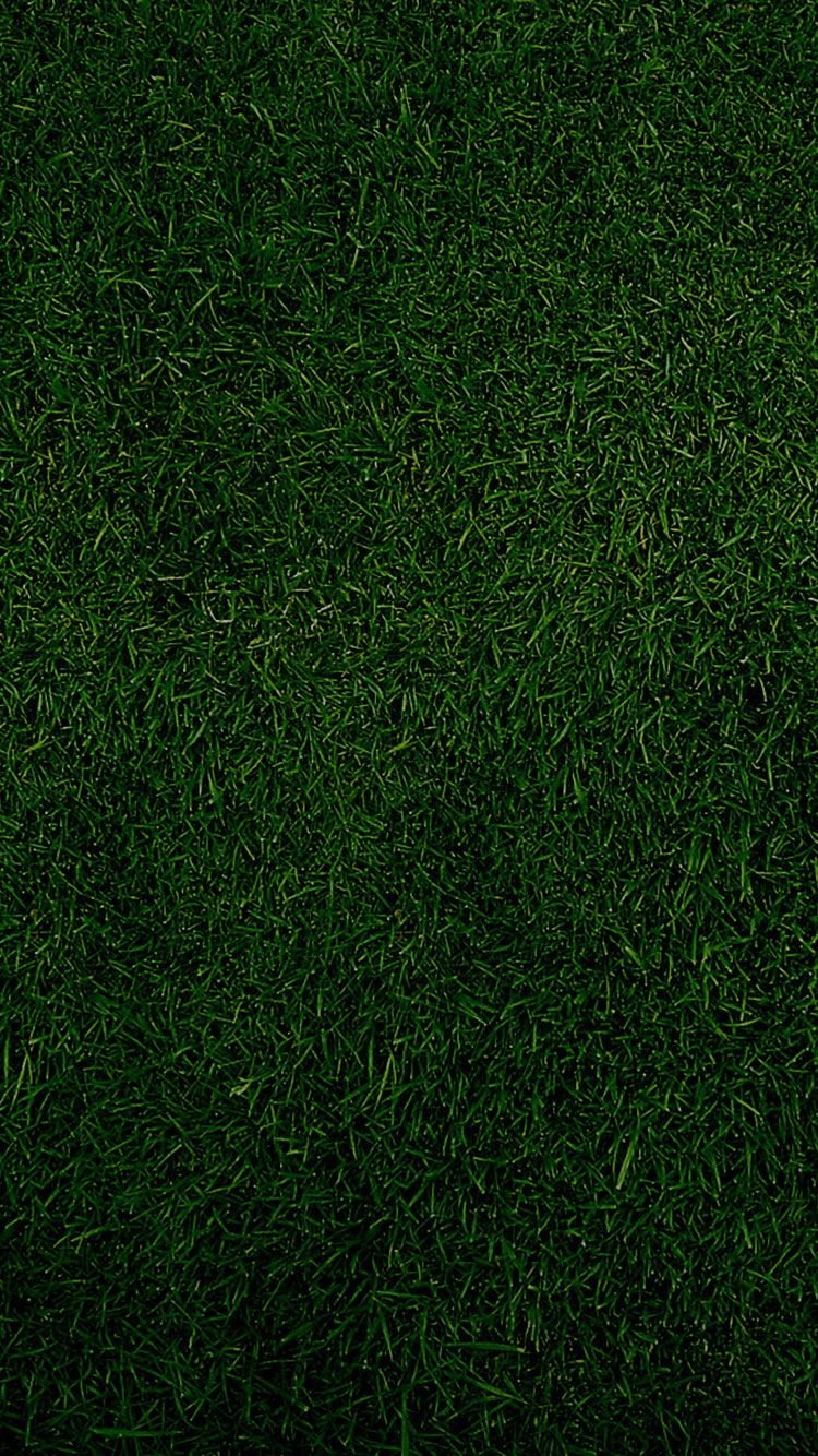 750x1340 HD Green iPhone Wallpaper, Phone