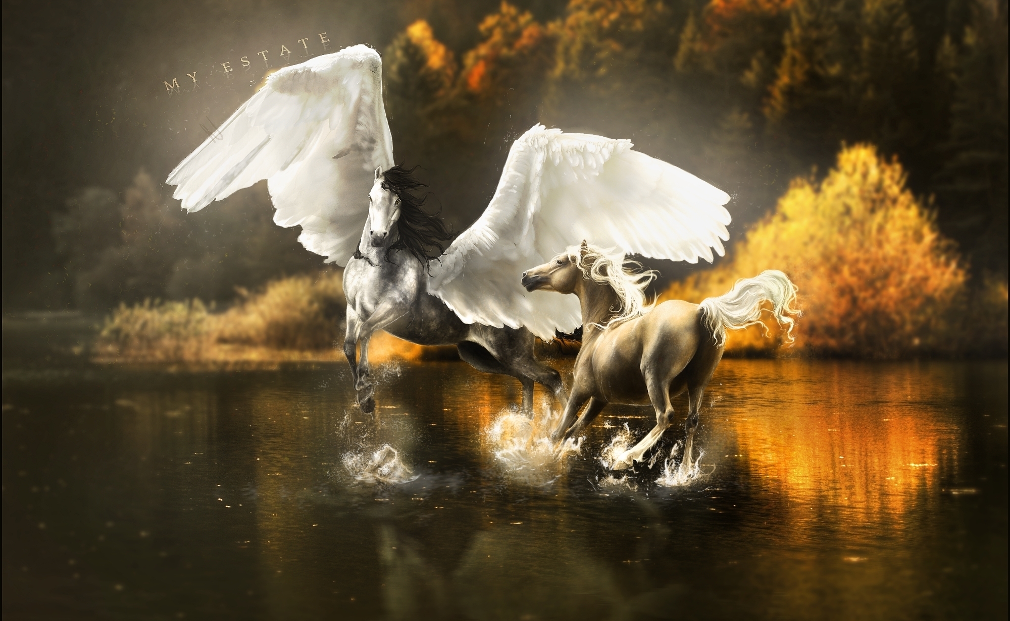 2000x1240 Magical animals Pegasus Horses Wings horse lake autumn reflection wallpaperx1231, Desktop