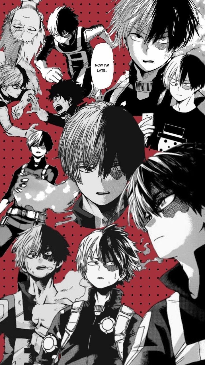 720x1280 Shoto Todoroki Wallpaper Aesthetic, Phone