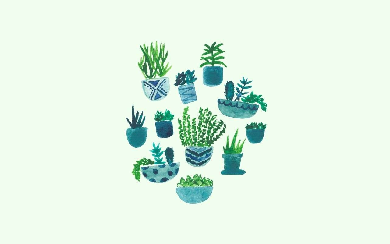 1280x810 Aesthetic Green Wallpaper Laptop, Desktop