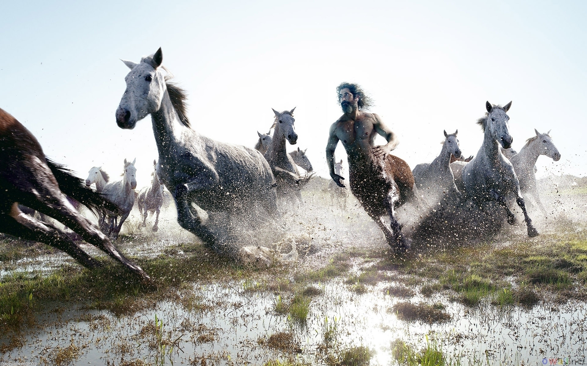 1920x1200 Running Horses, centaur, autumn, tapety wallpaper. Running Horses, centaur, autumn, tapety, Desktop