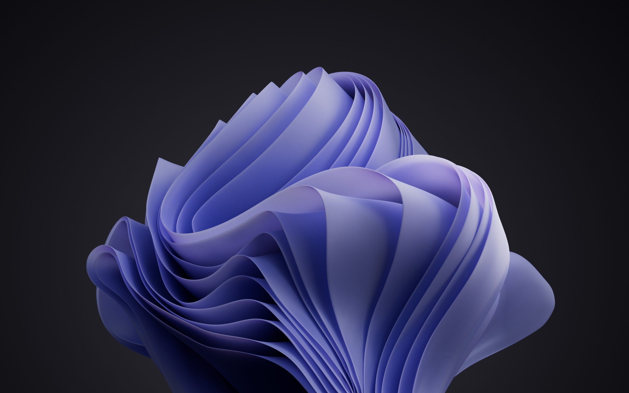 2560x1600 PANTONE Color of the Year for 2022 comes to Windows 11 wallpaper. Windows Experience Blog, Desktop