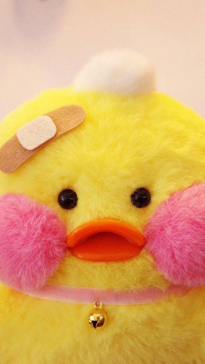 700x1250 iPhone壁纸 锁屏」最近超火的玻尿酸鸭来一发！搬运搬运. iPhone background tumblr, Duck wallpaper, Cute ducklings, Phone