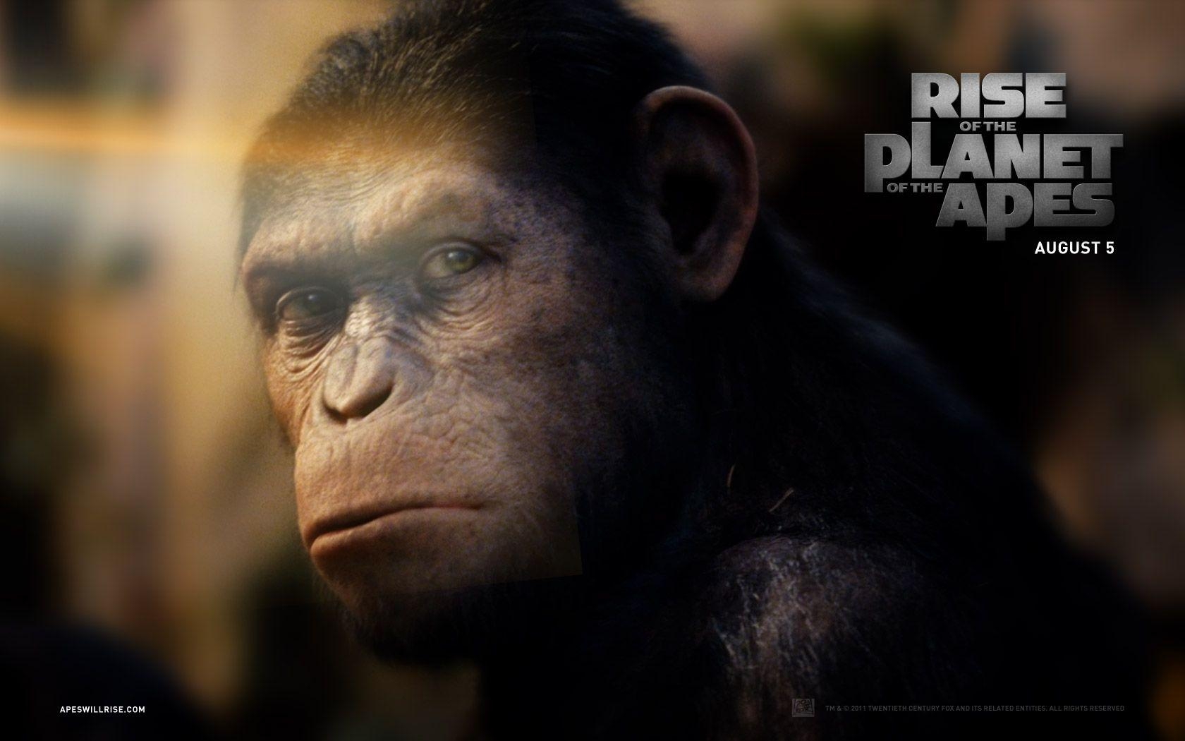 1680x1050 Rise of the Planet of the Apes: Caesar wallpaper, Desktop